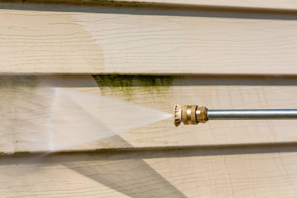 Best Residential Pressure Washing Services  in Basalt, CO
