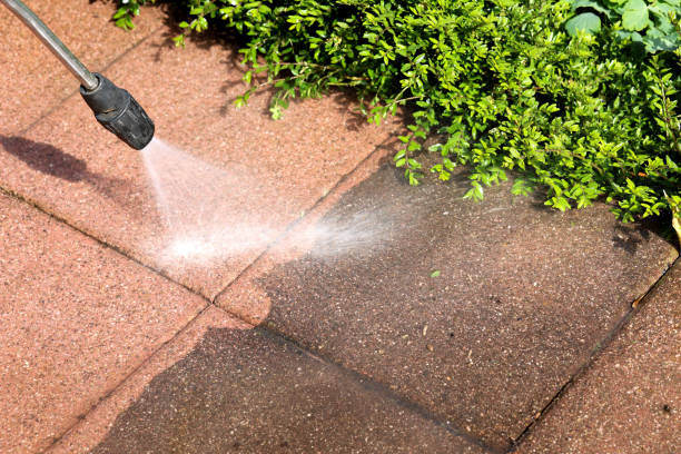 Best Roof Power Washing Services  in Basalt, CO